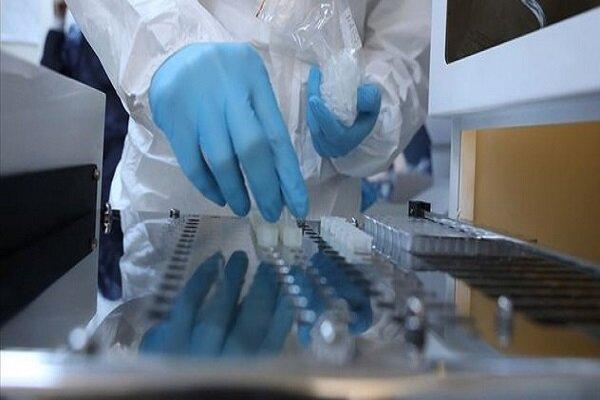 افزایش شمار مبتلایان به کرونا در عمان افزایش شمار مبتلایان به کرونا در عمان