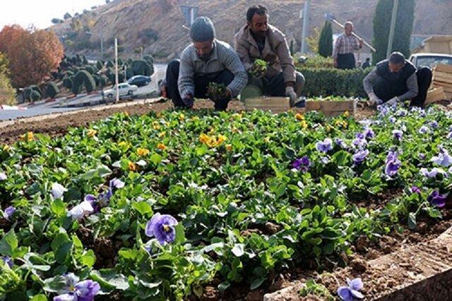 کاشت 300 هزار اصله گل در بجنورد در آستانه عیدنوروز
