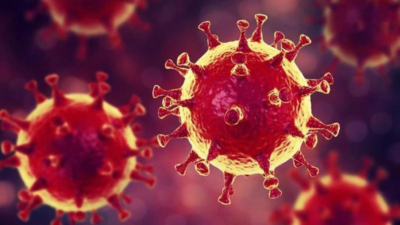5 ویروسِ خطرناک تر از کرونا