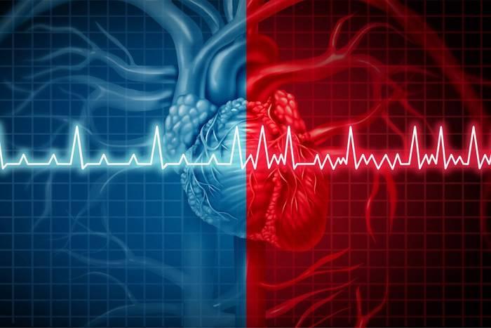 تخمین ریسک بیماری قلبی با هوش مصنوعی