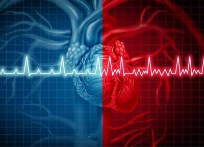 تخمین ریسک بیماری قلبی با هوش مصنوعی