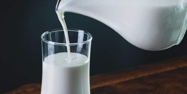 مصرف شیر عمر را کوتاه می کند!