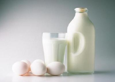 تخم مرغ و شیر؛ پروتئین هایی حتی برای گیاهخواران