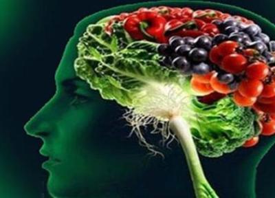 آیا تقویت حافظه با میوه و گیاهان دارویی امکان پذیر است؟