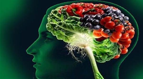آیا تقویت حافظه با میوه و گیاهان دارویی امکان پذیر است؟