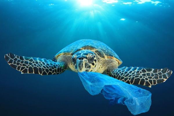 کشورهای گروه 20 برای مقابله با پسماندهای پلاستیکی به توافق رسیدند