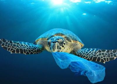 کشورهای گروه 20 برای مقابله با پسماندهای پلاستیکی به توافق رسیدند